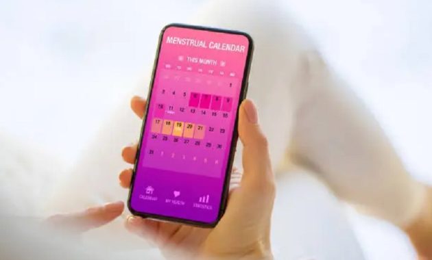 Period Tracker App for Menstruation and Reproductive Health